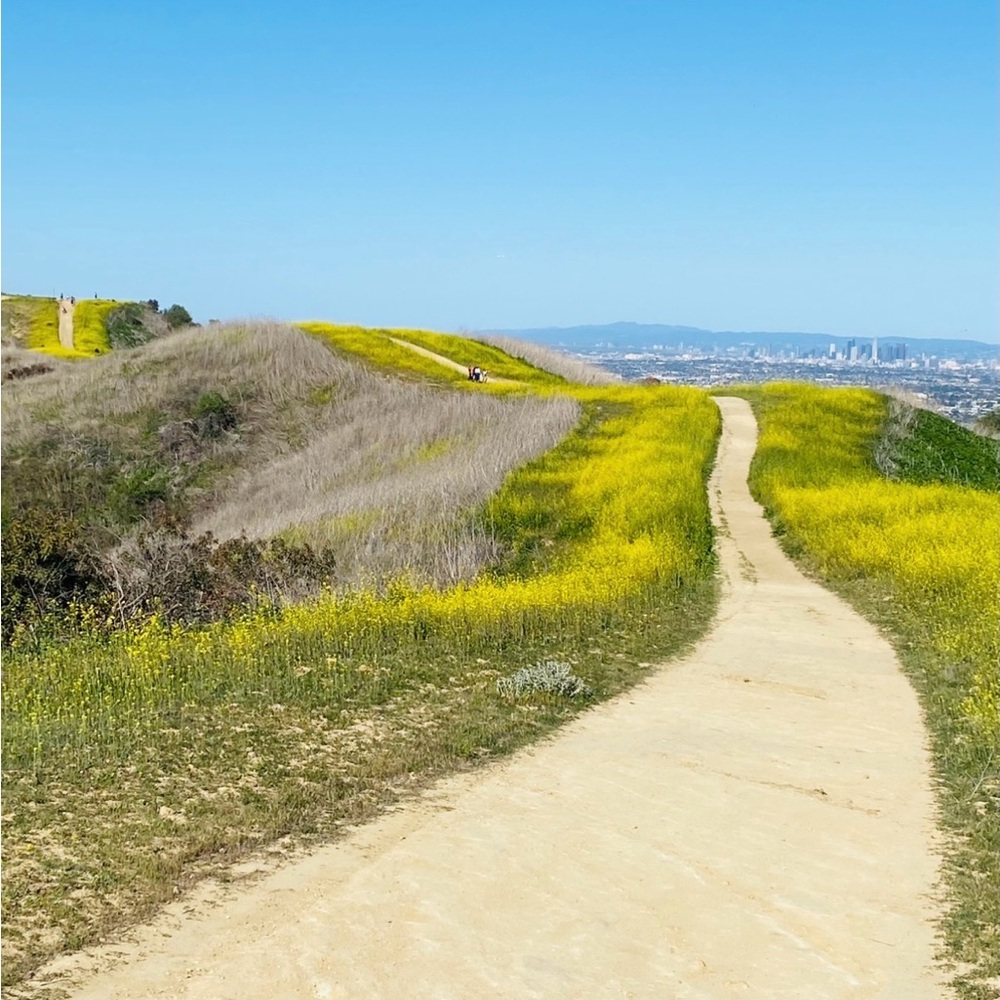 Meet your Posher, Walter